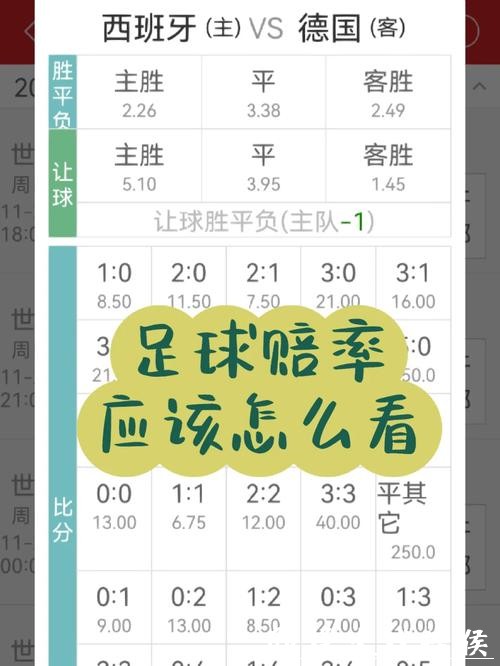 世界杯投注官网赔率更新实时查询